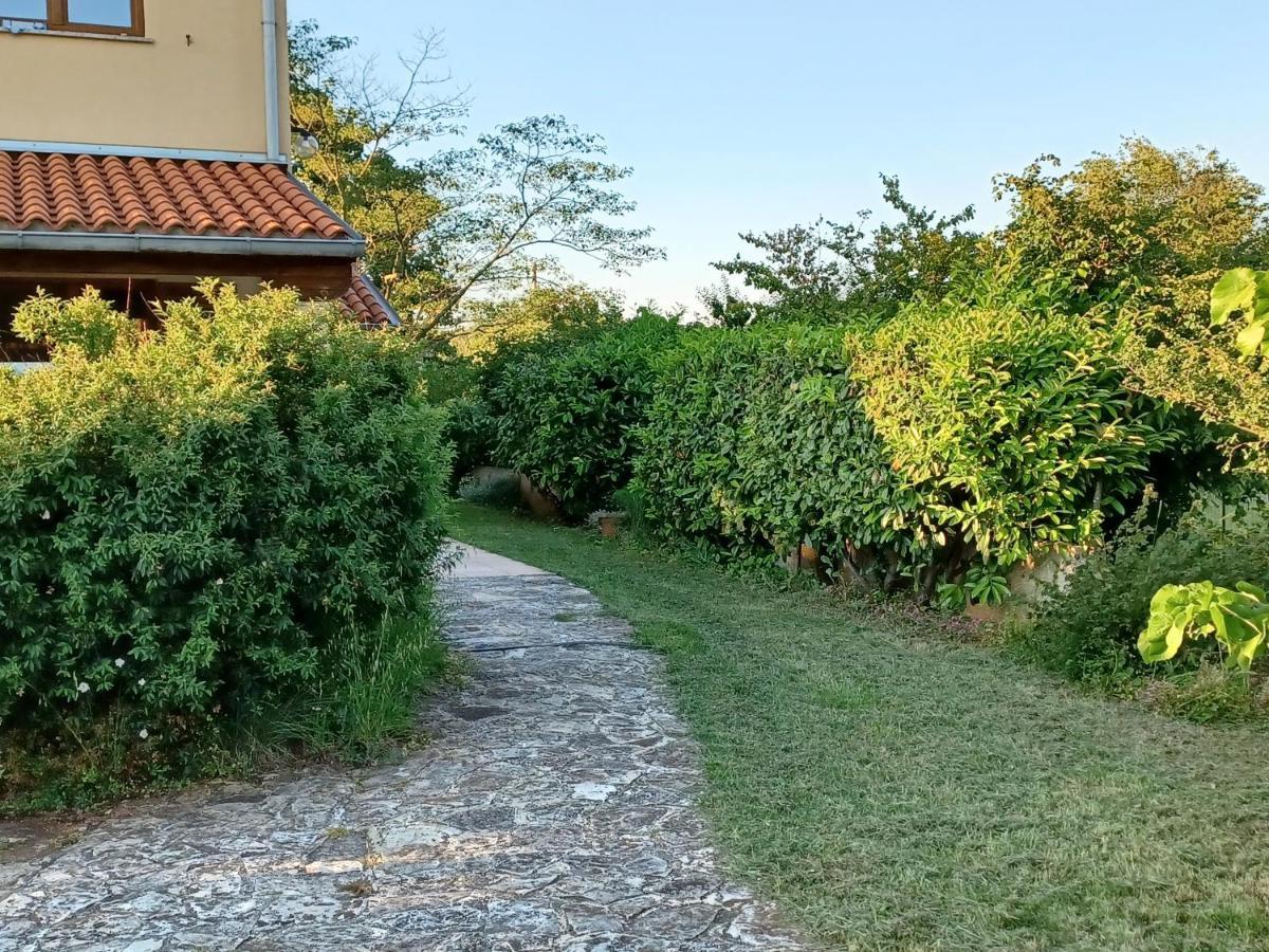 Kamik 1 Apartament Banjole