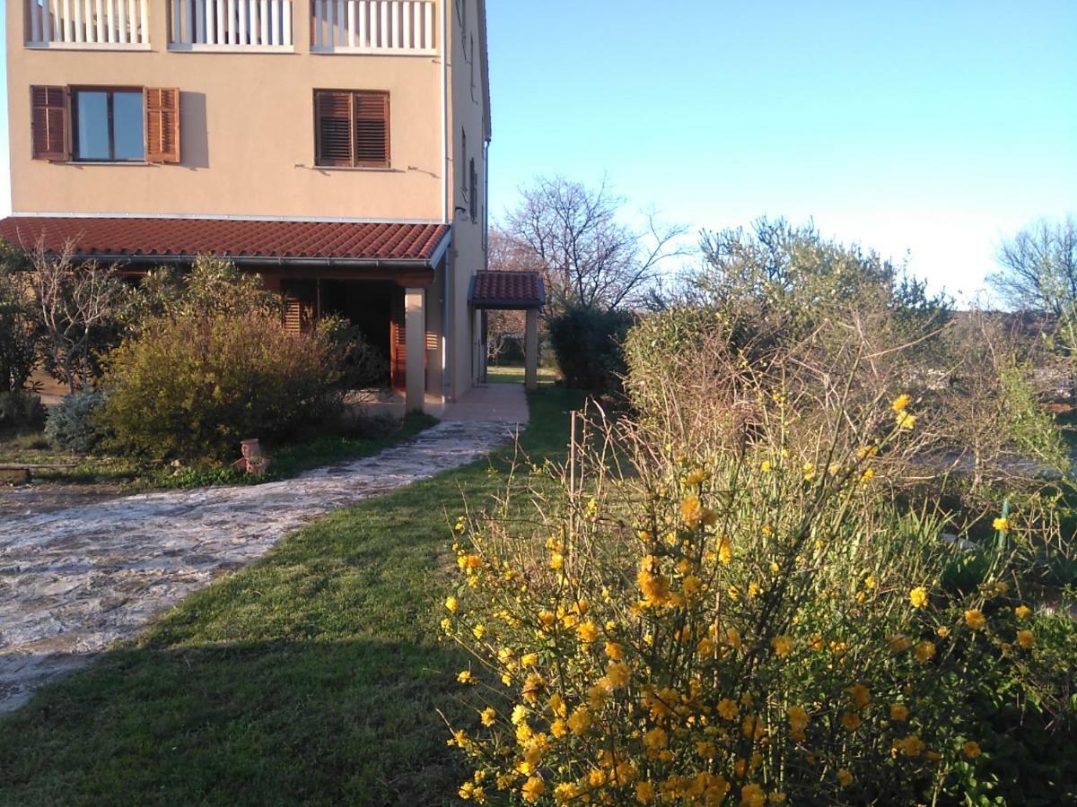 Apartment Kamik 1